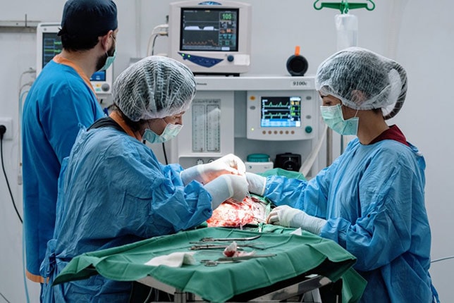 Chirurgie — Etudiante en Médecine Vétérinaire Ecole Universitaire Vasco de Gama de Coimbra