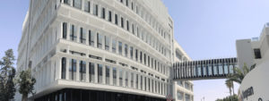 European University Cyprus