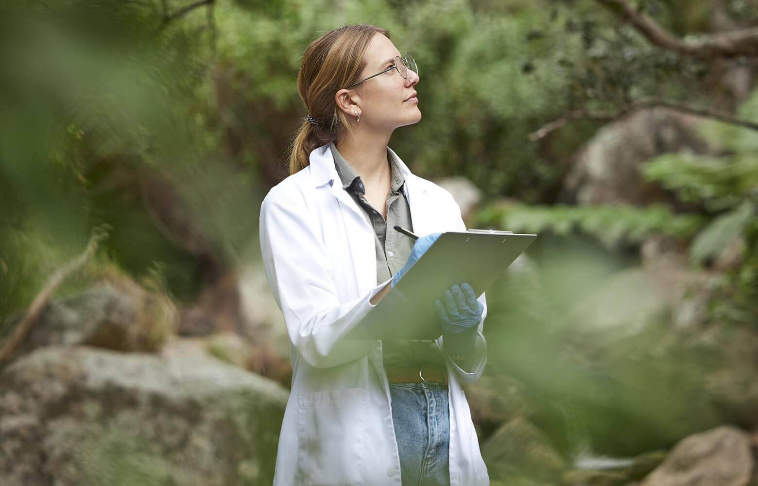L’impact du réchauffement climatique sur la médecine vétérinaire