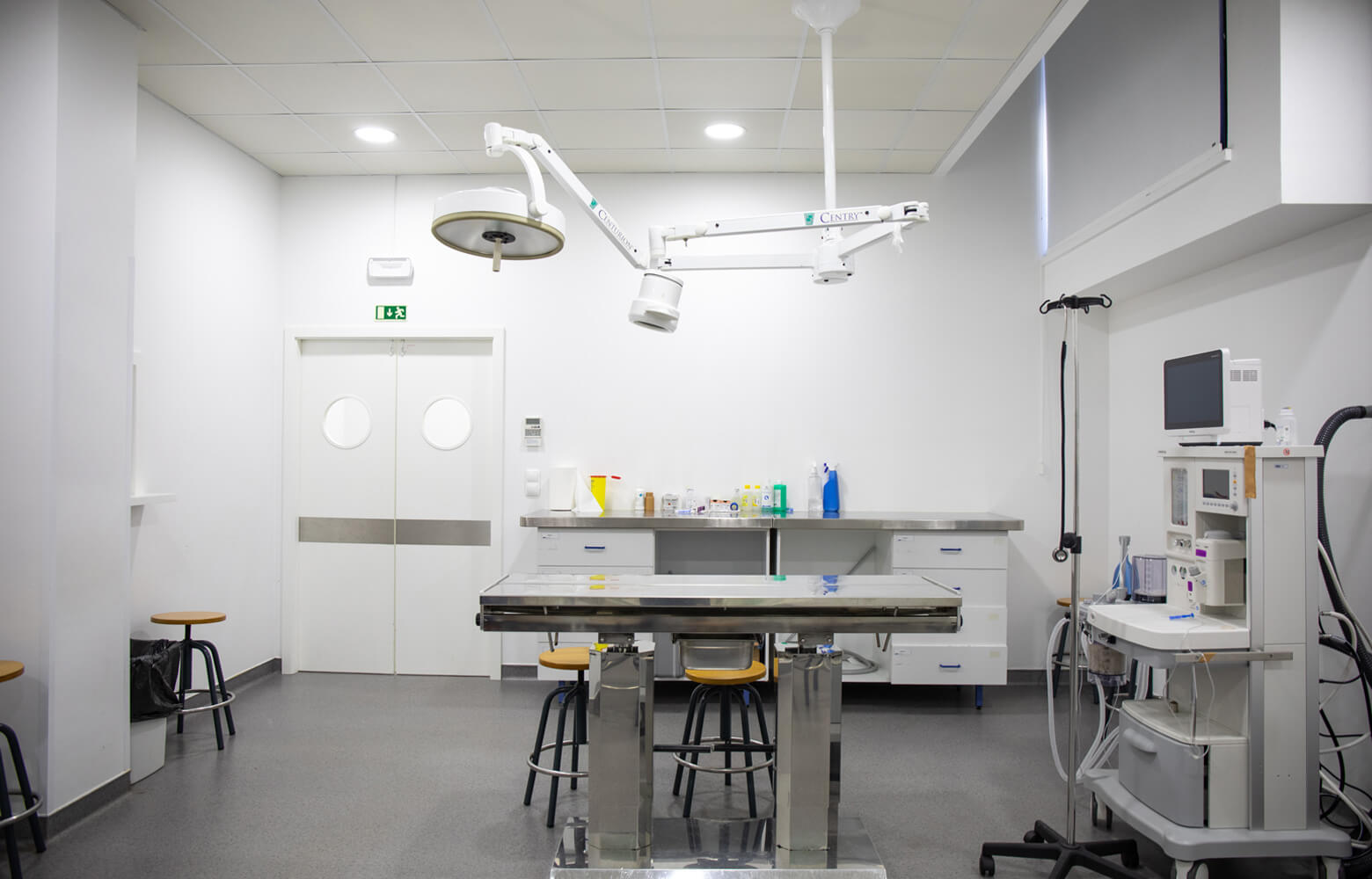 Le cursus de Vétérinaire au Portugal