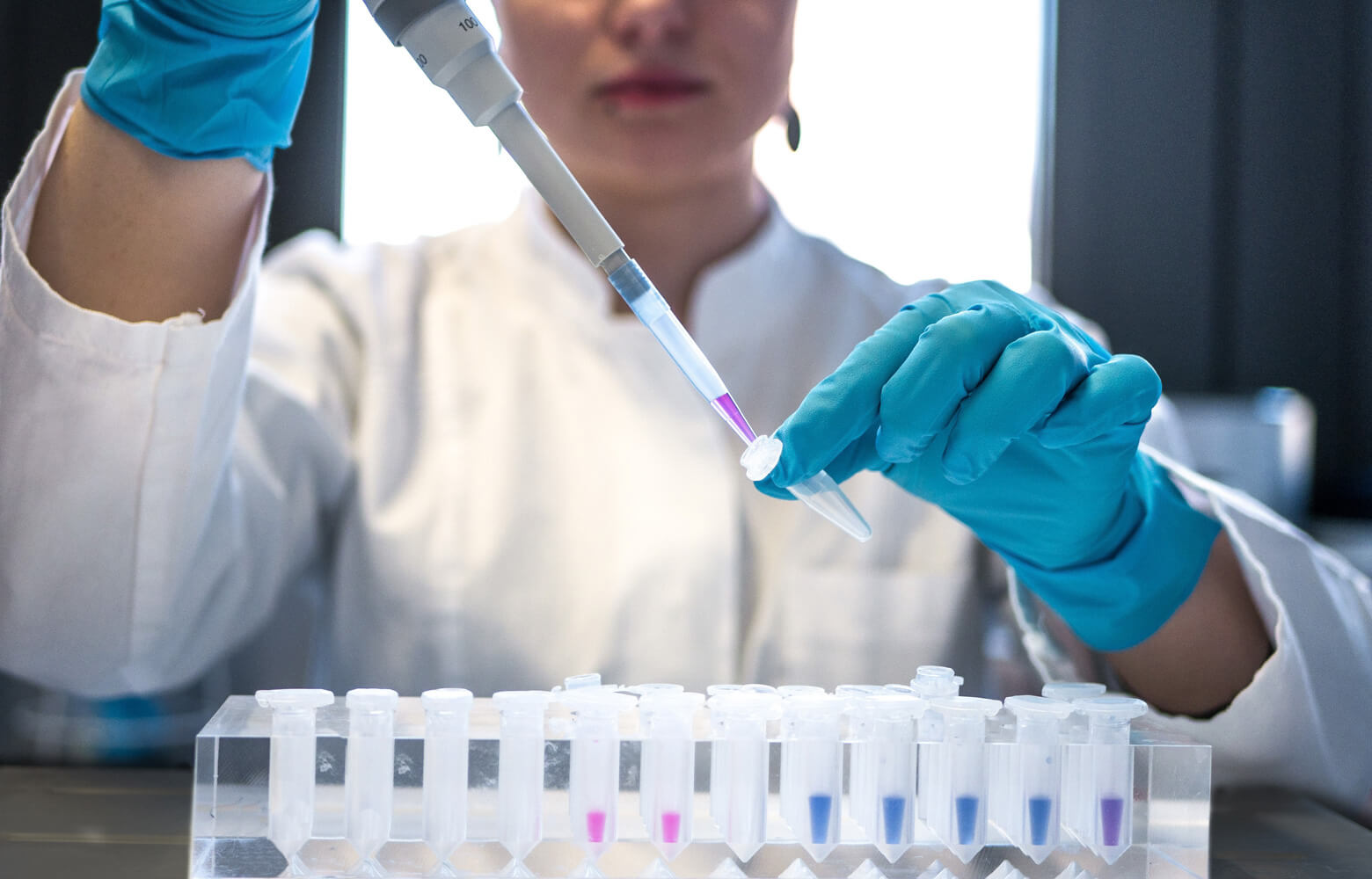 Les débouchés après une Licence en Sciences Bio-vétérinaires