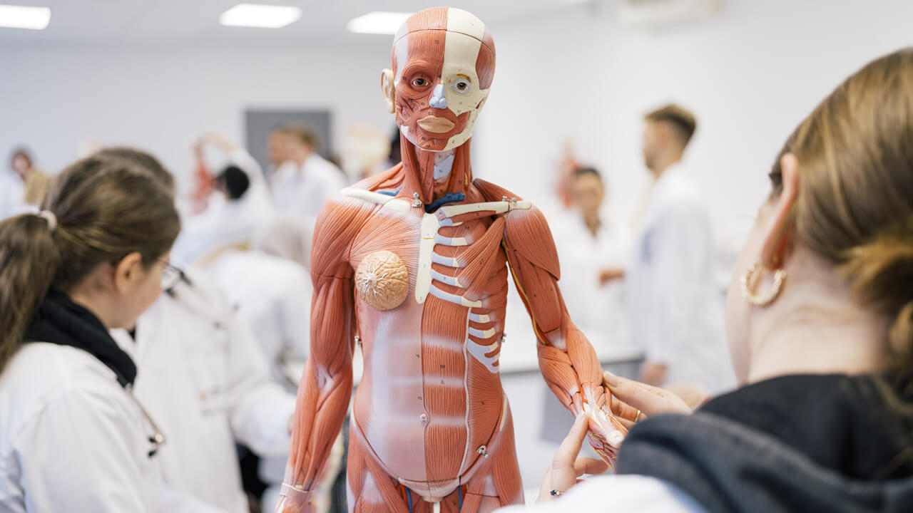 Le programme MD Medicine de l'EUC School of Medicine a reçu la distinction “Five Stars” dans le classement QS TOP UNIVERSITIES (QS Stars University Ratings)