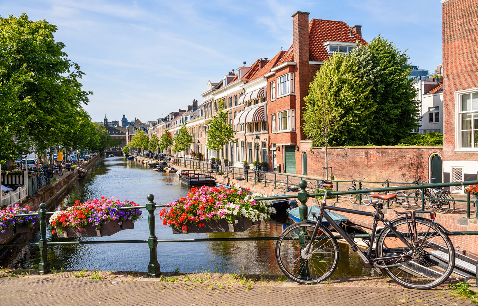 Étudier au Pays-Bas : conseils pour s’adapter à la culture néerlandaise