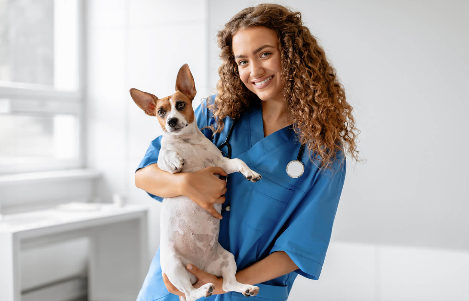 Pourquoi étudier la médecine vétérinaire en Europe ? Avantages et opportunités