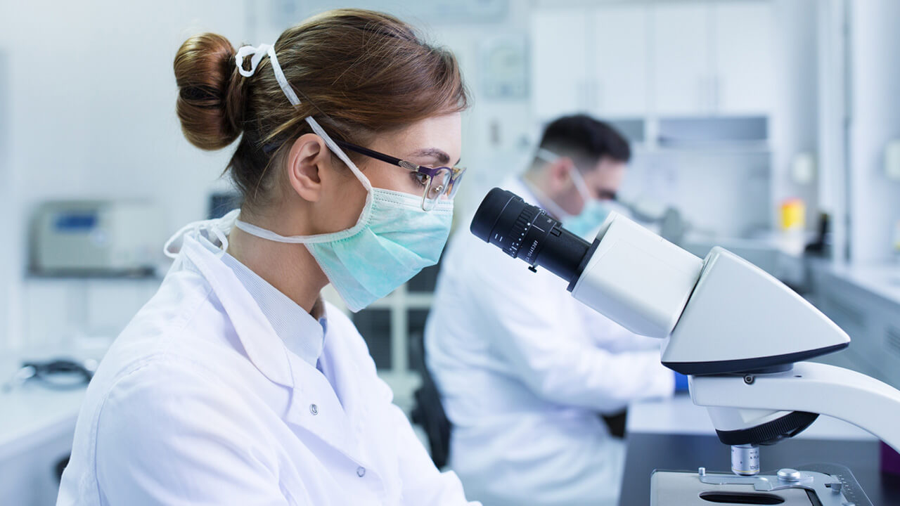 La recherche biomédicale est une voie de plus en plus prisée par les vétérinaires