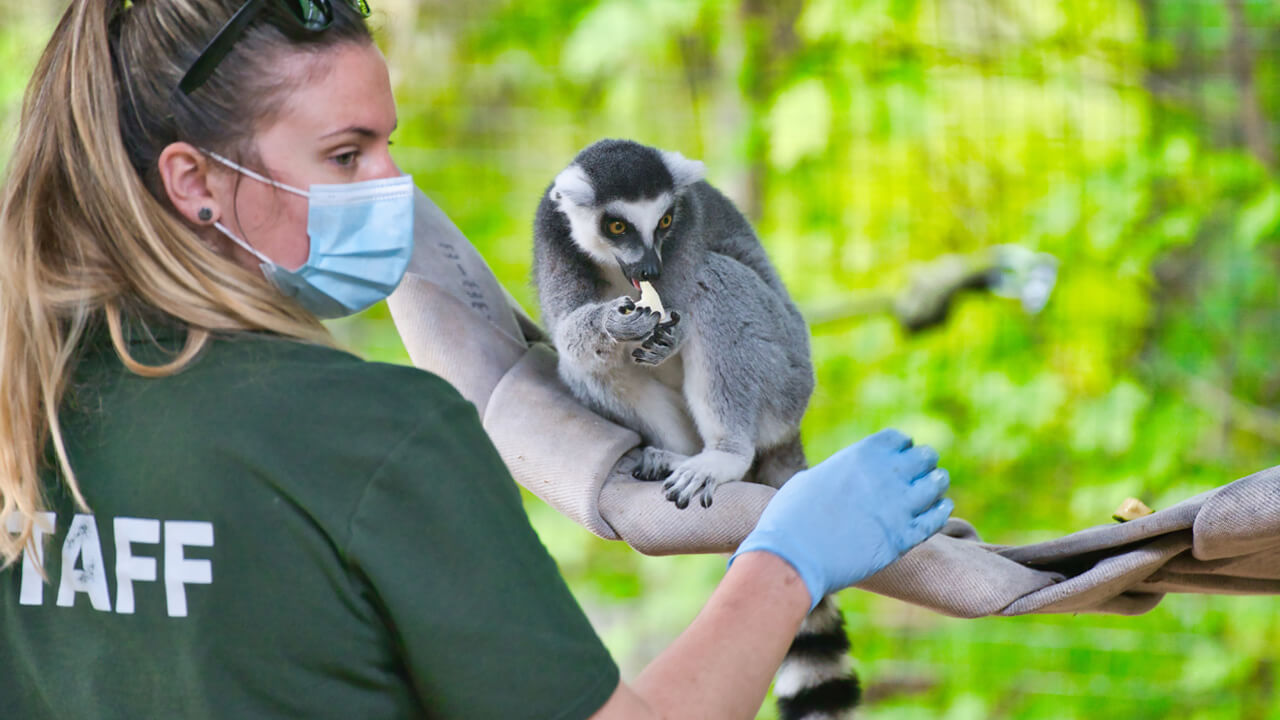 Vétérinaire pour la faune sauvage