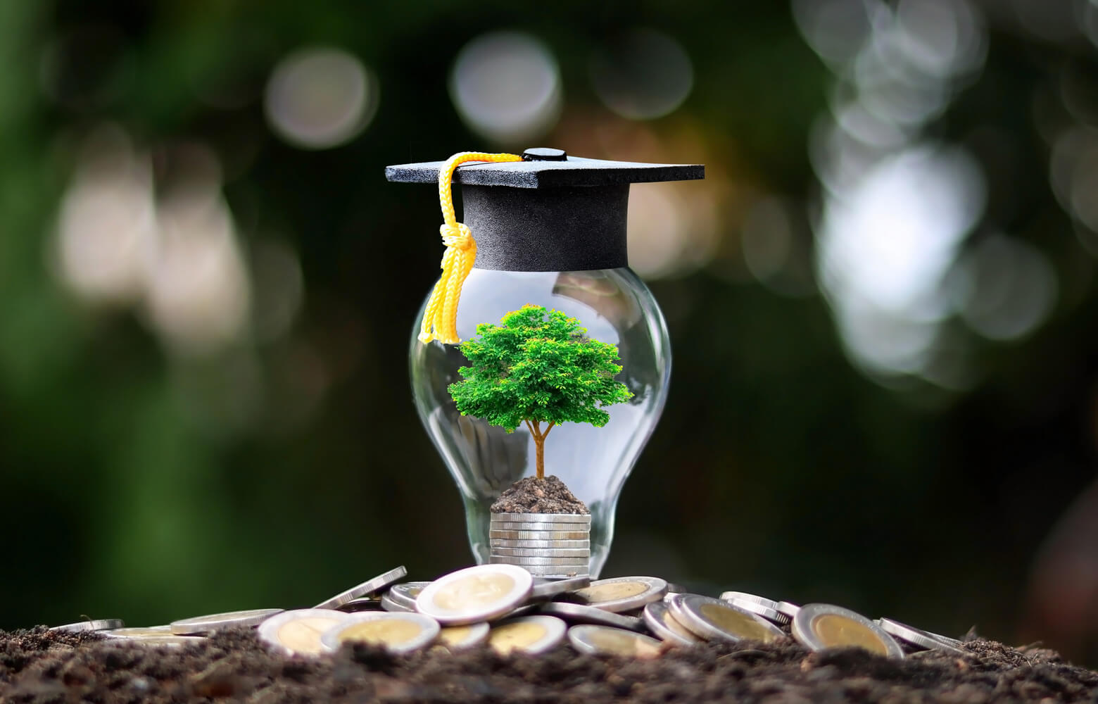 Les bourses pour tes études en Europe, en 10 questions/réponses !
