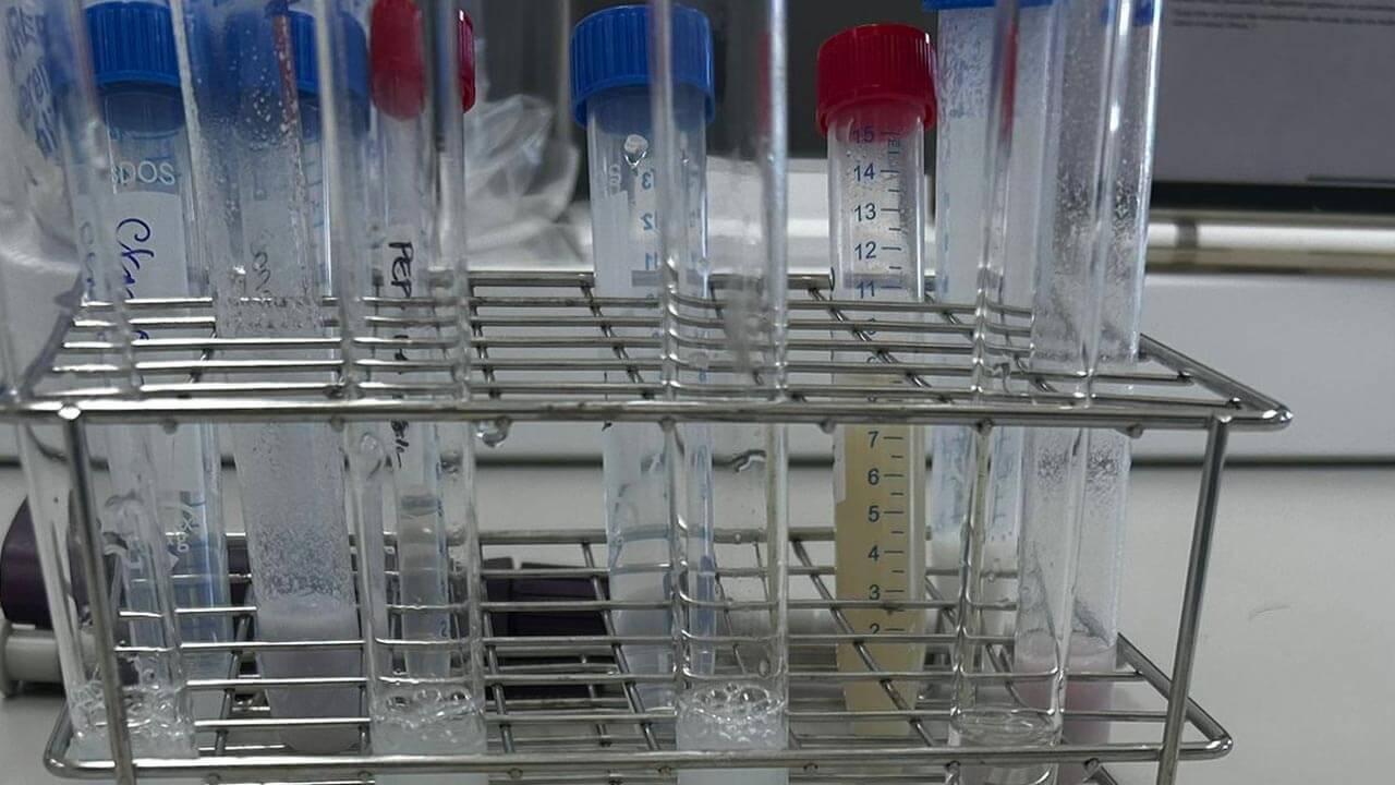 Etudes de santé au Portugal