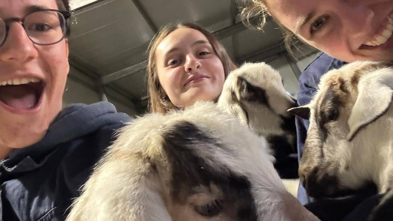 Cursus vétérinaire Portugal avec GEDS