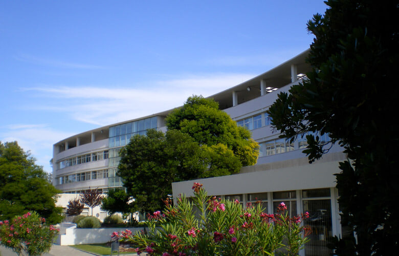 Egas Moniz entre dans le top 30 mondial des universités les plus engagées pour la santé